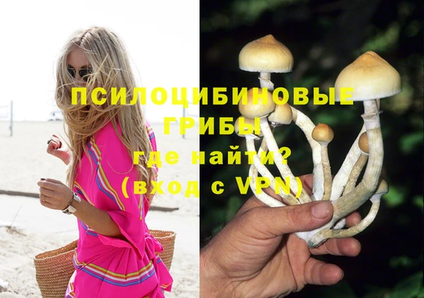 соль ск Киреевск