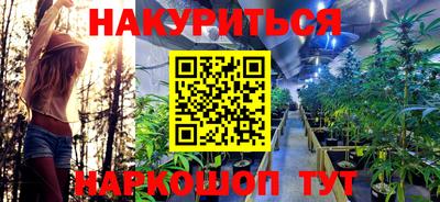 не бодяженный Гатчина