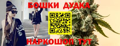 дживик Гай
