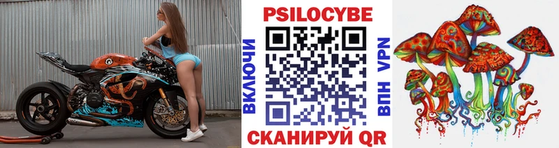дарнет шоп  Лангепас  Псилоцибиновые грибы Psilocybine cubensis 
