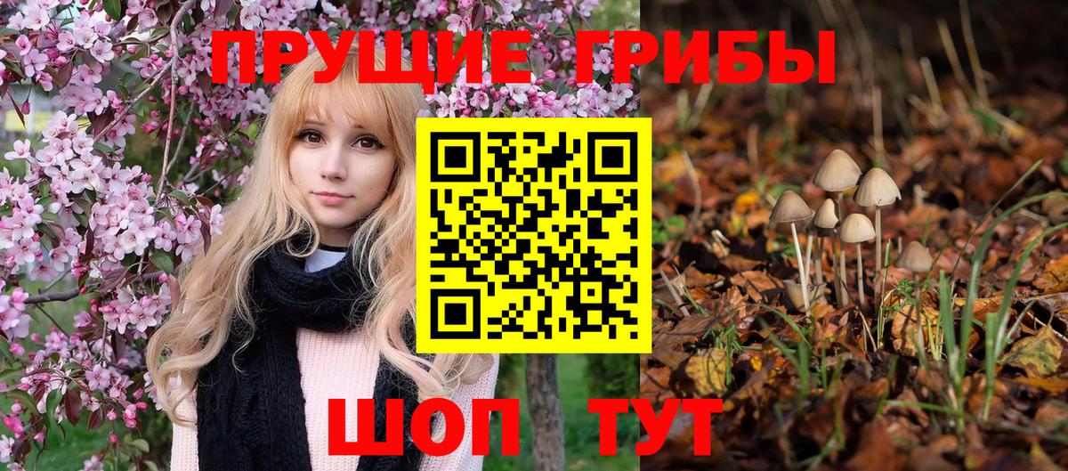 Галлюциногенные грибы Cubensis Лангепас
